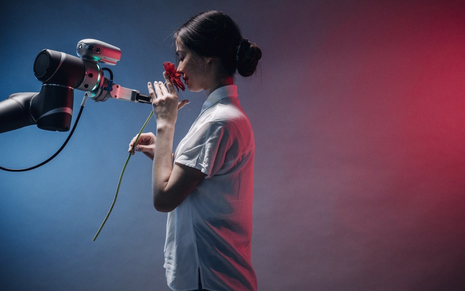 A robotic arm holds a red gerbera daisy up to a woman's face as she smells it