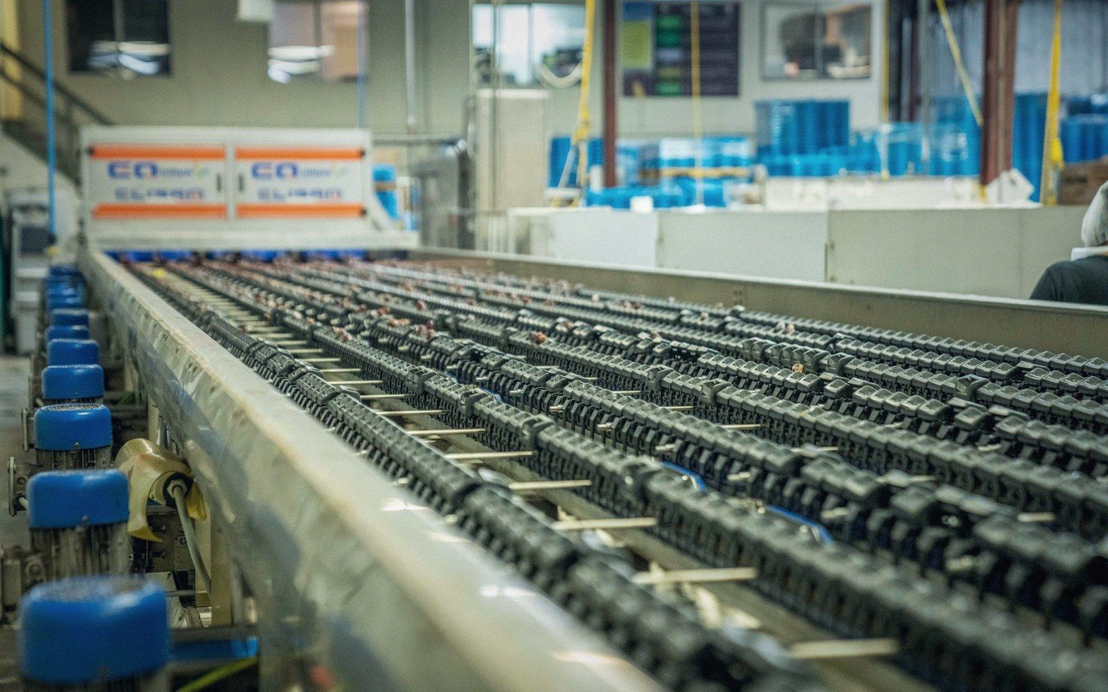 Rows of chain-driven conveyor tracks stretch through an industrial factory floor